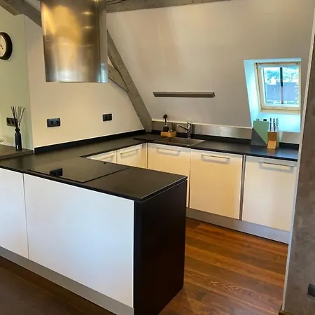 La Mezzanine Des Rohan Apartment